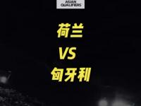 开运体育登录-荷兰不敌比利时，无缘半决赛！